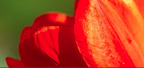 免费ddos在线攻击测试网站